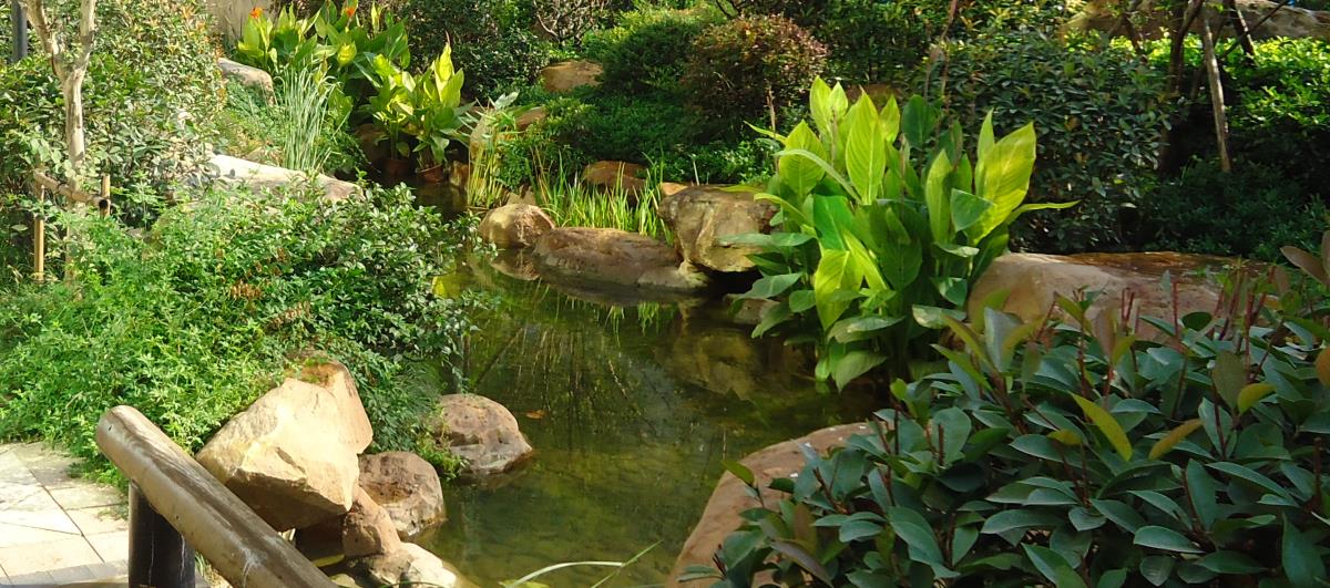 國(guó)色天襄營(yíng)銷(xiāo)中心園林景觀工程