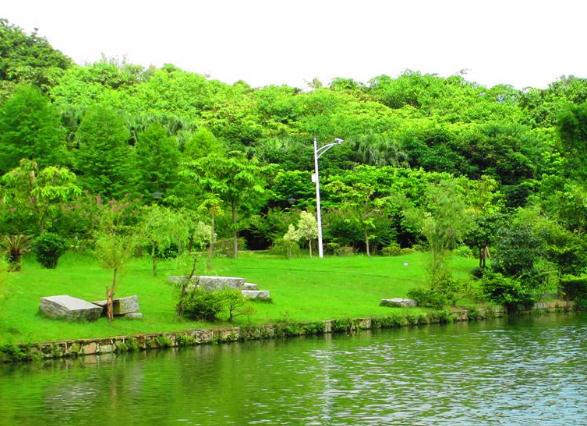 人工植被的應(yīng)用有什么樣的效果和作用呢？