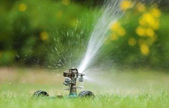 綠化苗木的灌溉與排水，應(yīng)該注意這8個(gè)方面！