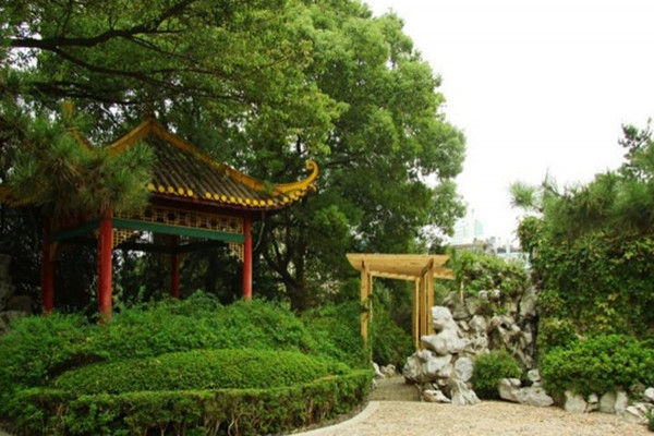 如何讓土地“變肥”，讓樹苗“夠吃”？