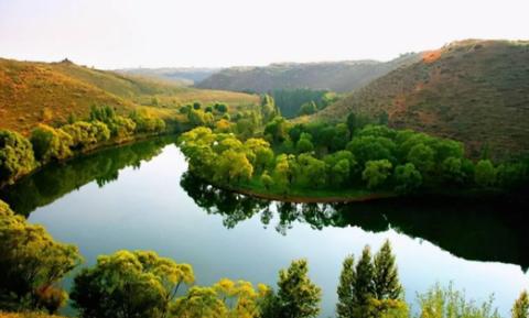 湖北園林綠化檔次提高，產(chǎn)品升級是必然，趕緊跟上這個趨勢
