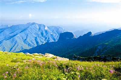  秦嶺國家公園設立后，會有啥不一樣？