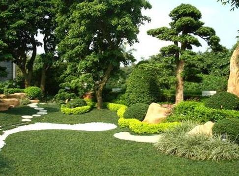 技術(shù)|開春園林綠化養(yǎng)護(hù)重點工作