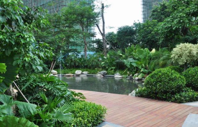 襄陽園林公司分享栽樹五大誤區，您中招了嗎？ 