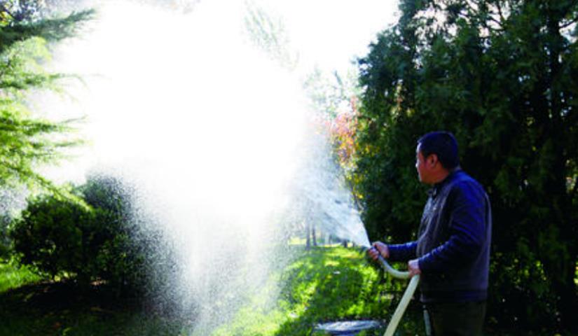 春季氣溫開始回升，湖北凱蒂園林提醒：做好這些養(yǎng)護(hù)舉措，苗木來(lái)年存活好，長(zhǎng)枝快