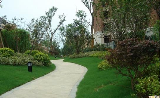 小區園林綠化施工需要遵循的五大原則有哪些？